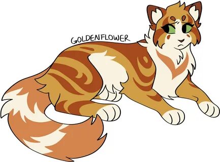 Warrior cats goldenflower