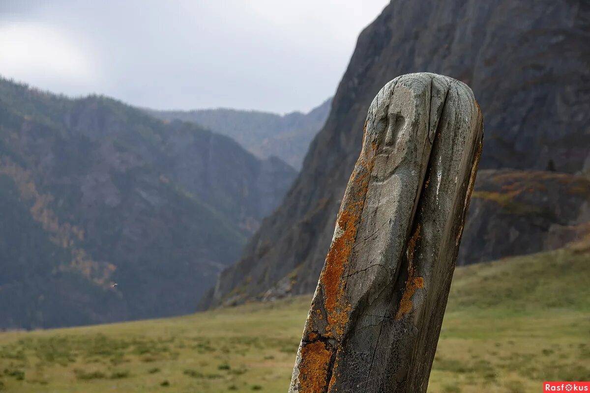 алтай камень. алтай ущелье плоского камня. камень рериха на алтае. святилище адыр-кан алтай. алтай камень.