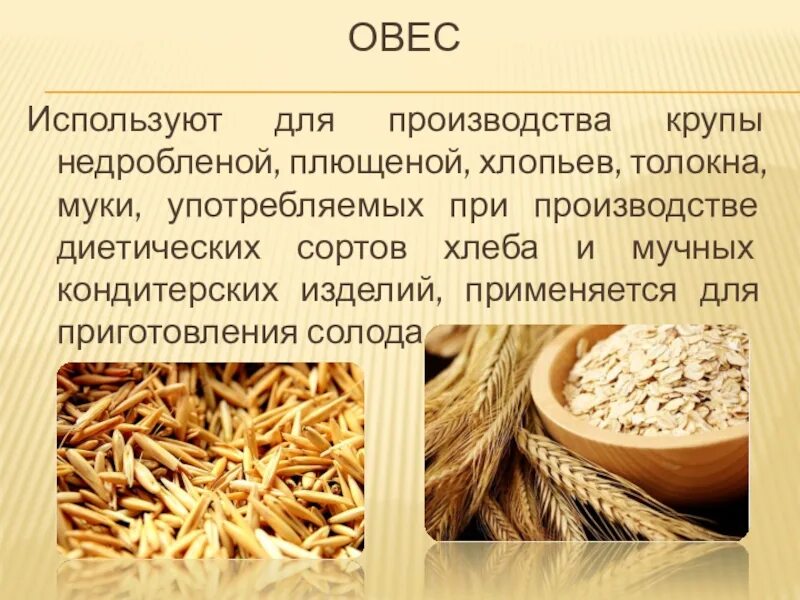 Толокно овсяное. Толокно крупы. Толокно овсяное. Сырье хлебопекарного производства. К какому виду круп относится толокно.