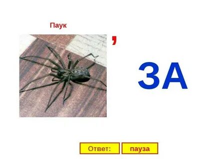 Слово паук