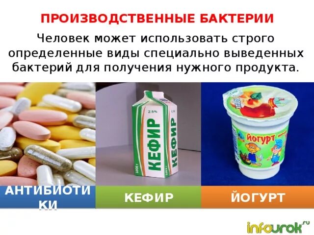 Роль бактерий в природе 7 класс кратко. Роль бактерий в природе и жизни человека. Значение бактерий презентация. Бактерии в жизни человека. Роль бактерий в жизни человека.