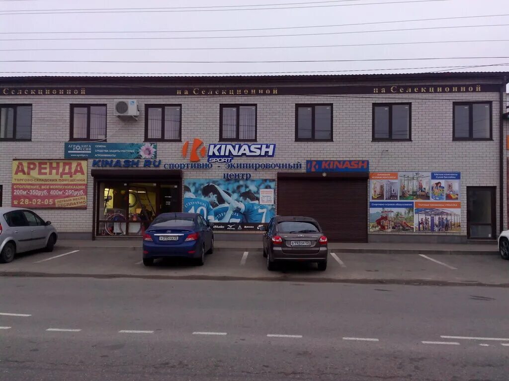 Кинеш