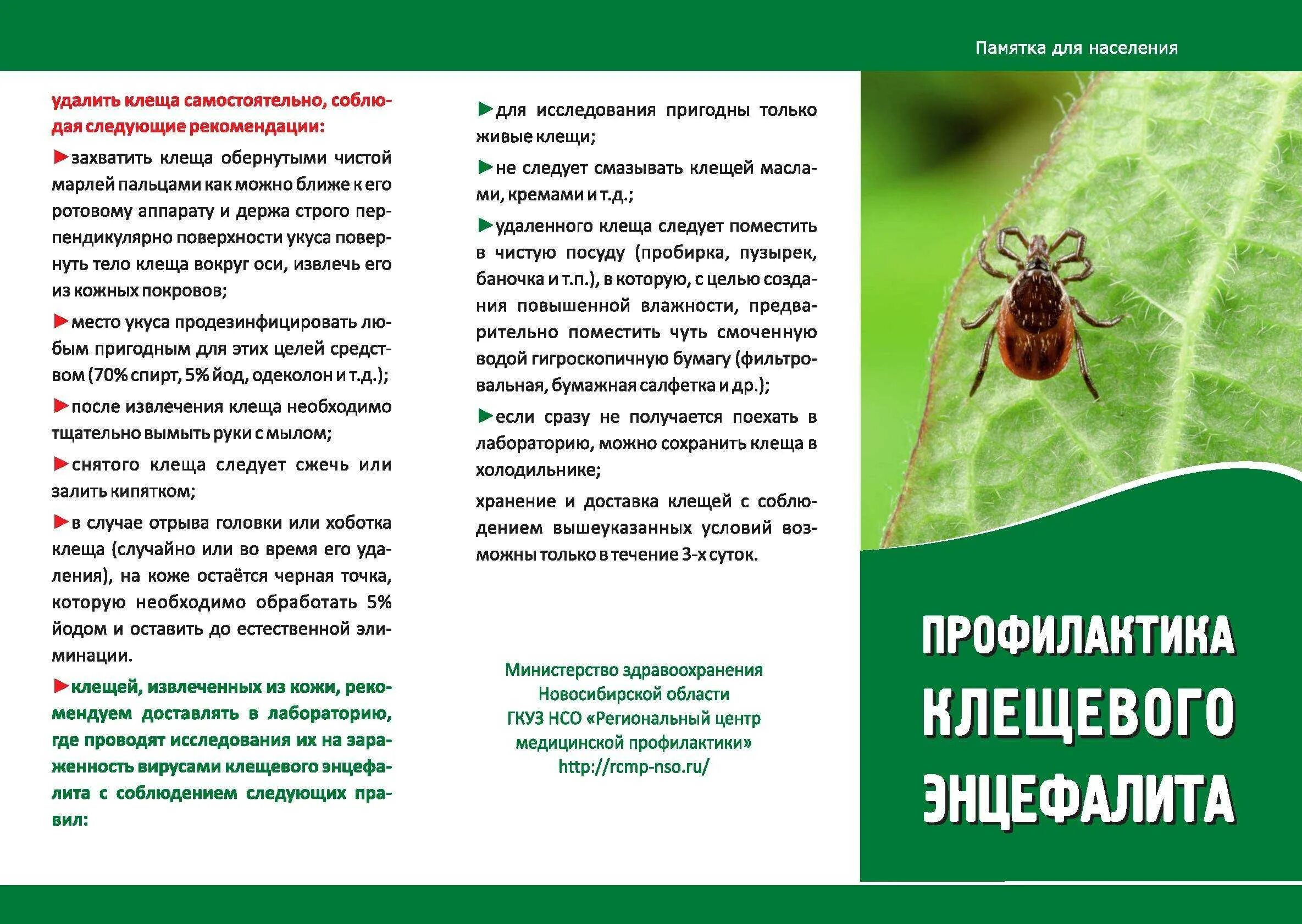 Клещи информация