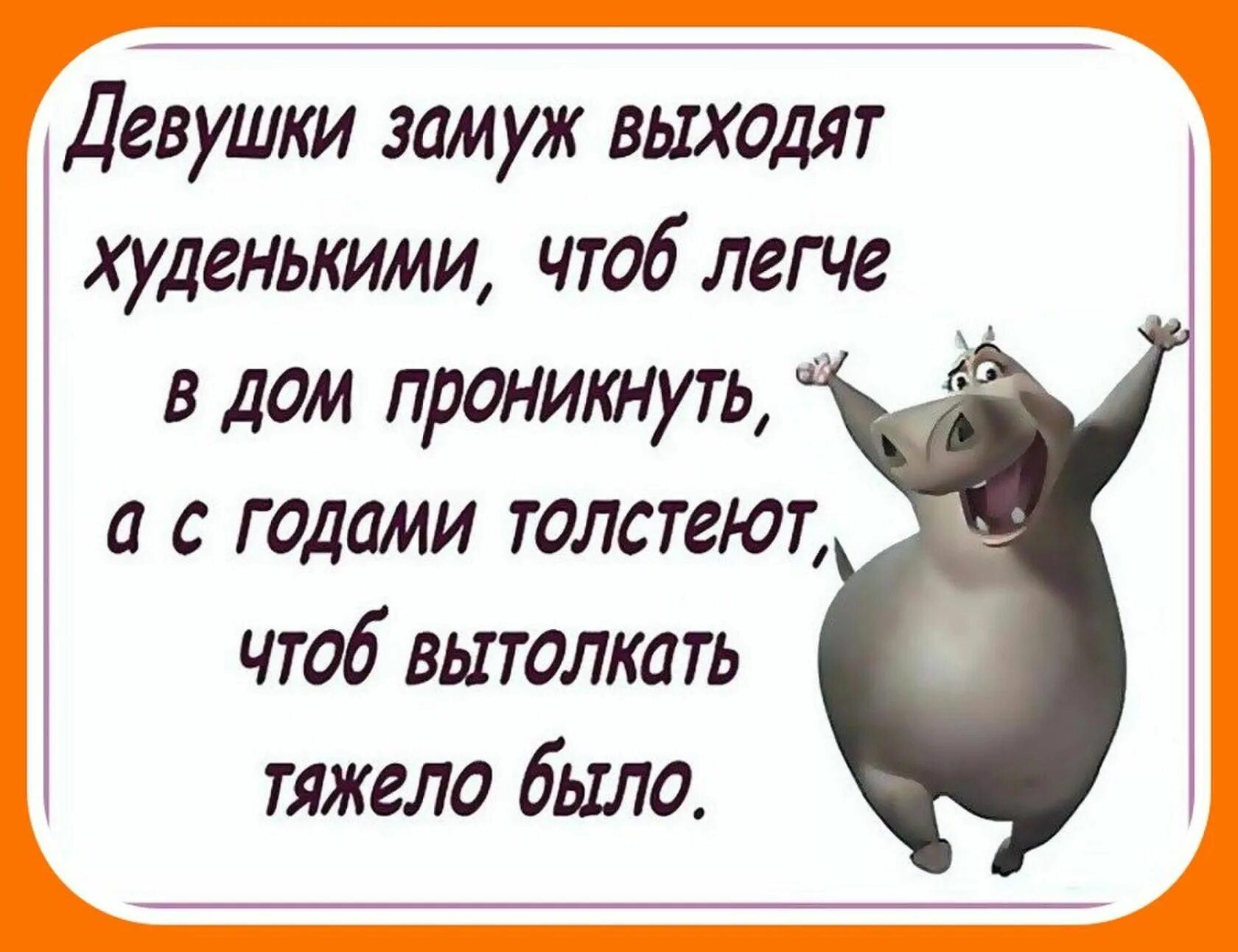 Чтоб можно было выходить. Позитивные высказывания. Смешные афоризмы. Позитивные Веселые цитаты. Цитаты с юмором.