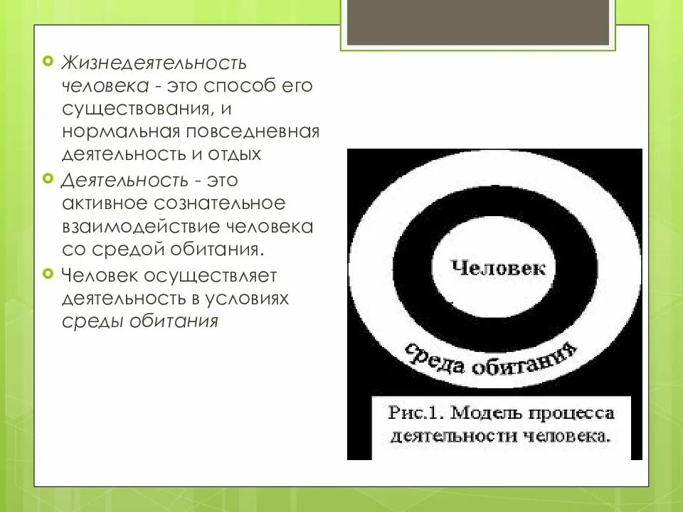 Среда и факторы существования. Среда обитания человека. жизнедеятельность человека. модель жизнедеятельности человека. жизнедеятельность это повседневная деятельность.