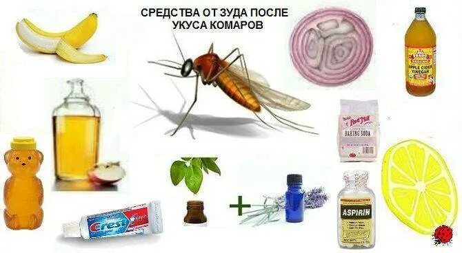 Снять зуд от укусов. Народные средства от укусов комаров. Народные средства от укуса комара. Народные методы от укусов комаров. Народные средства после укусов комаров.