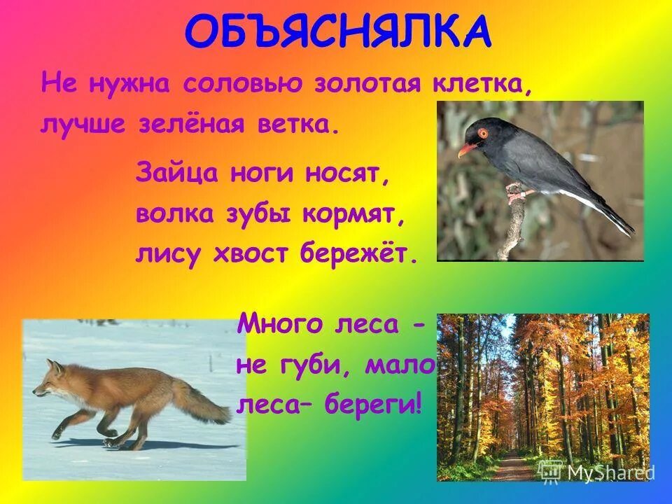 Пословицы ноги носят волка зубы кормят лису хвост бережет. Зубы кормят ноги носят хвост бережет. Зубы кормят ноги носят хвост бережет. Зубы кормят ноги носят хвост бережет. Зайца ноги носят волка зубы кормят лису хвост бережет.