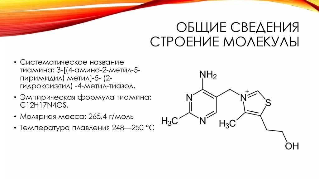 Фолиевая кислота тиамин