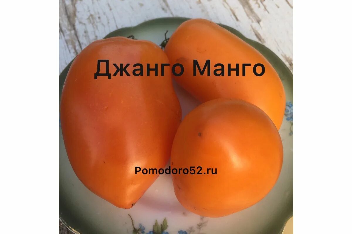 Манго томат описание сорта. Томат манго джанго. томат манго джанго биотехника. помидоры сорт манго джанго. помидоры сорт манго.