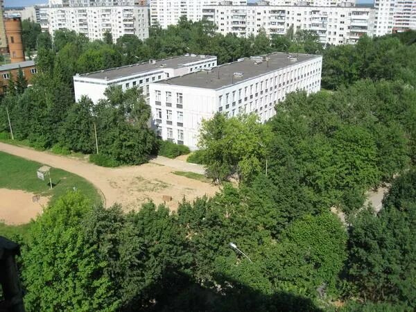 Школа лицей 2 Троицк Москва. Троицк Московская школа 2. Сайт гимназии г Троицка Москва. Лицей города Троицк 2 микрорайон.