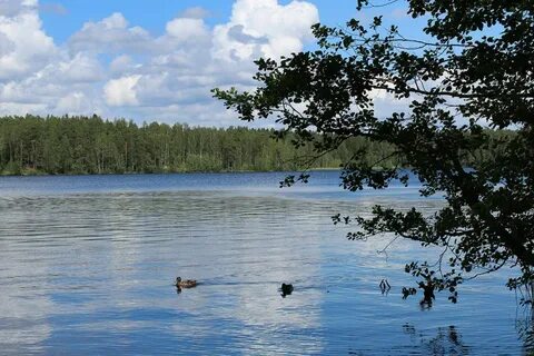 Екатеринбург щучье