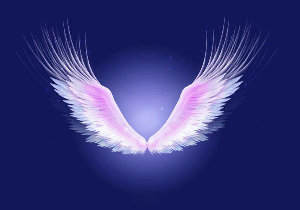 под раскрытым крылом. под раскрытым крылом. красивые крылья. ангел с крыльями. красивые крылья.