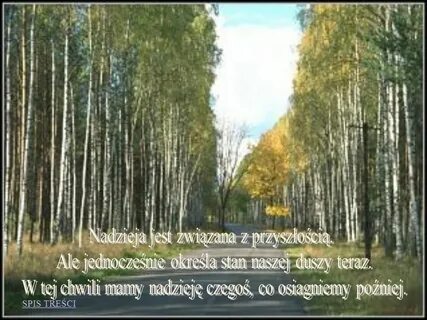 Береза у дороги 4 класс