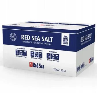 Sea 20