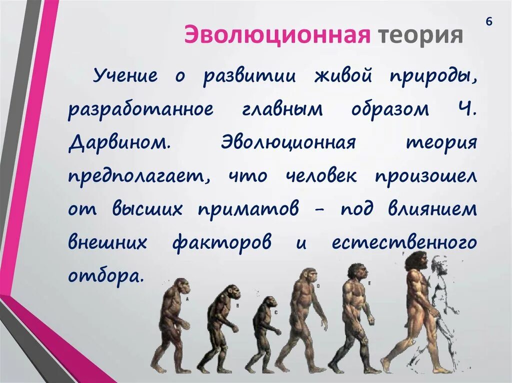 Эволюционная теория. Эволюционная теория происхождения человека. Эволюционная концепция возникновения человека. Теория происхождения человека эволюционная теория.