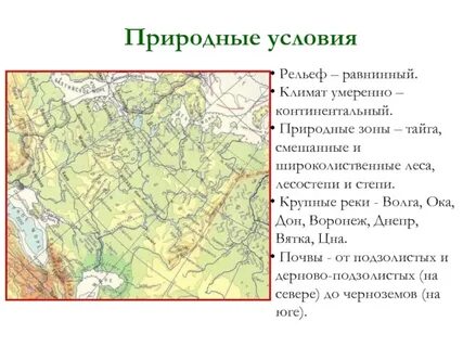 Особенности внутренних вод смешанных лесов