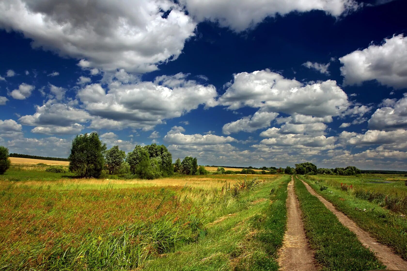 Средняя полоса страны. Природа нашей Родины. Русская природа. Пейзажи России. Поле деревня.