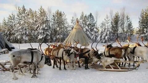 Северные города ханты