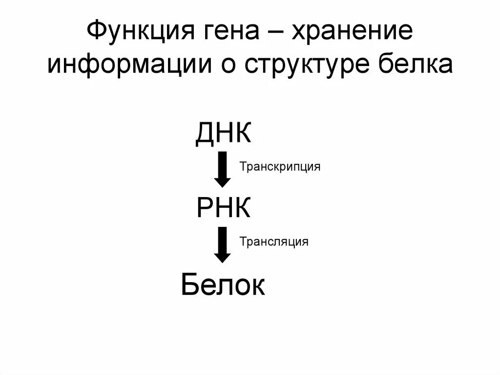 Изменение строения генов