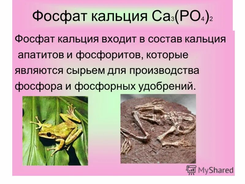 Фосфат кальция какая связь