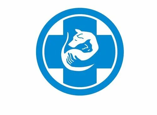 ветклиника на профсоюзной ростов на дону. ветеринарная клиника дериглазова. клиника доктора чигаевой пермь. ветклиника 1 курск. подлесная 37а пермь ветклиника.