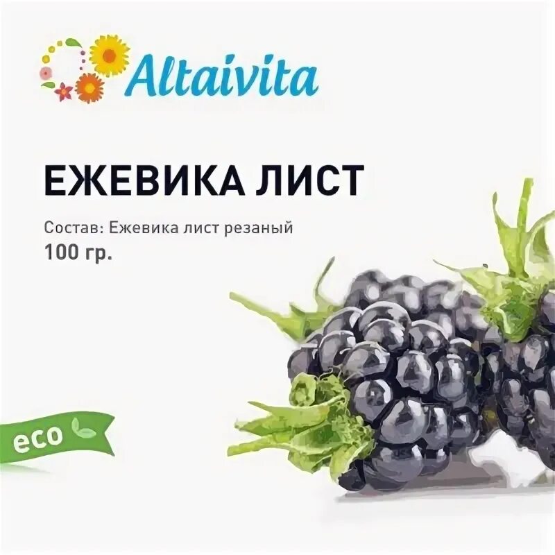 Аптека ежевика сайт. Ежевика аптека. ежевика (лист). магазин ежевика. ежевика тюмень.
