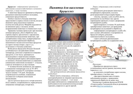 Заболеваемость бруцеллезом