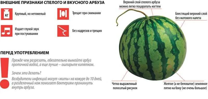 Как определить арбуз. Как определить арбуз. Как выбрать сладкий арбуз. Как правильно выбрать арбуз. Как правильно выбрать арбуз при покупке в магазине спелый.