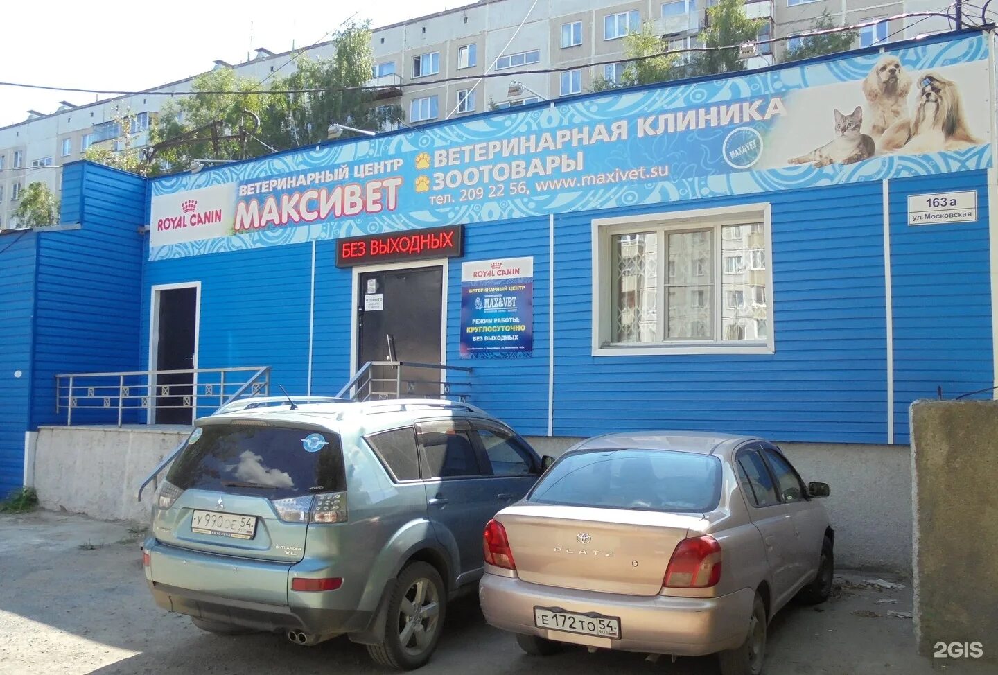 Ул московская 163. Максивет ветеринарная клиника новосибирск. московская 163 новосибирск. максивет ветеринарная клиника новосибирск московская. максивет киреевск.