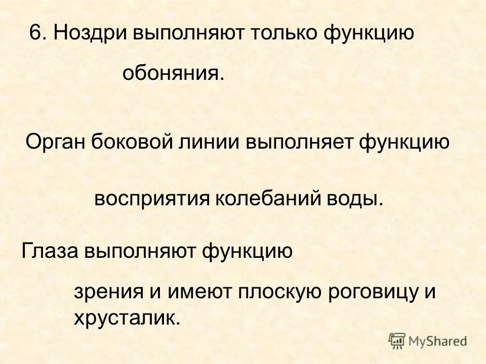 Функция органа боковой линии