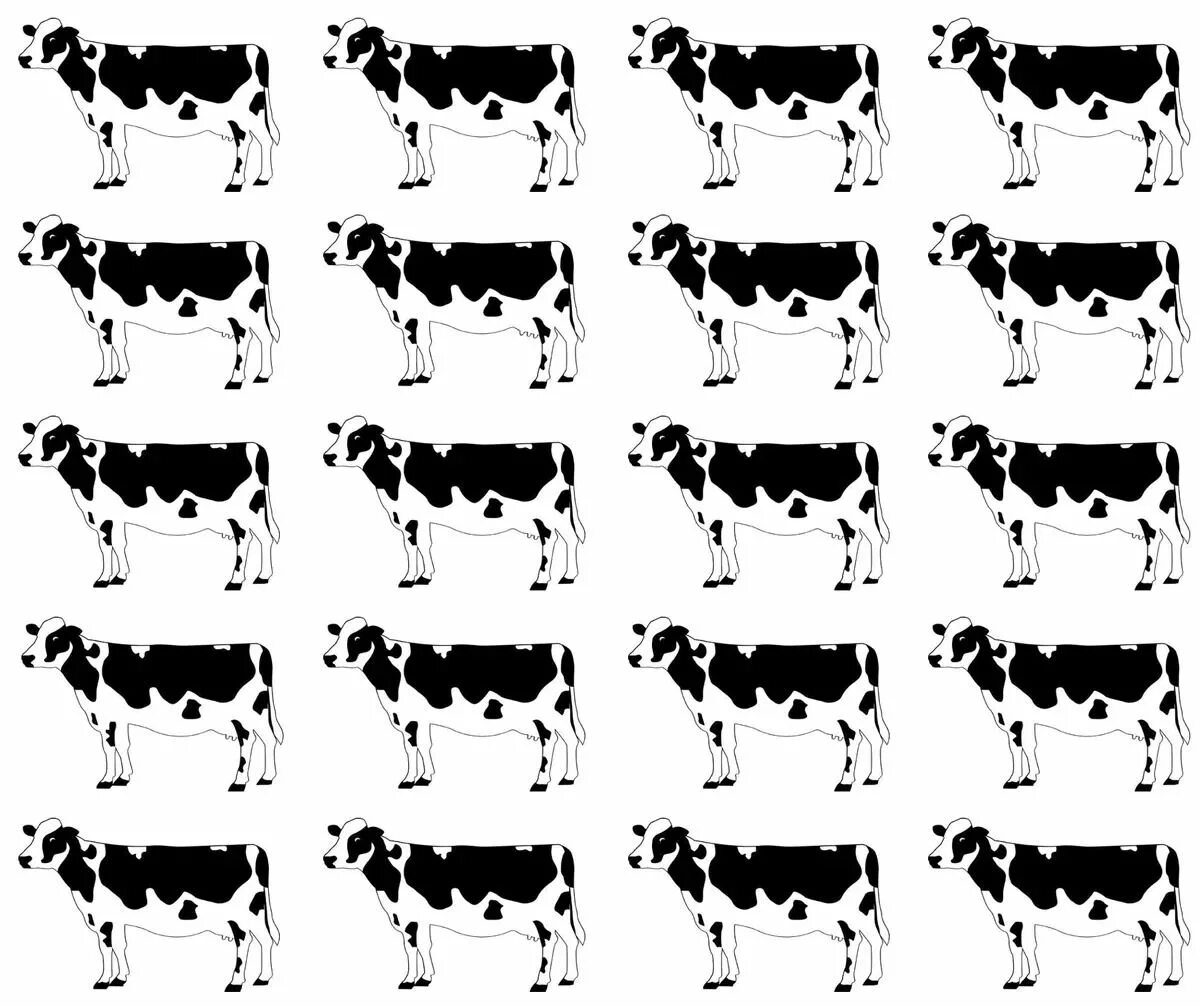 Корова. Корова черно белая. Корова картинка. Сколько человек корова