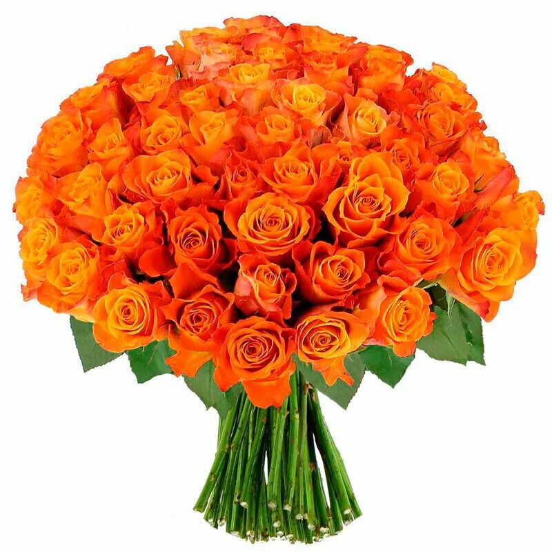 Оранжевые кустовые розы. Букет оранжевых цветов