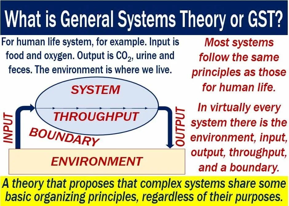 General Systems. System Theory. General principles of measurement Theory. In General a or the. Systems theory