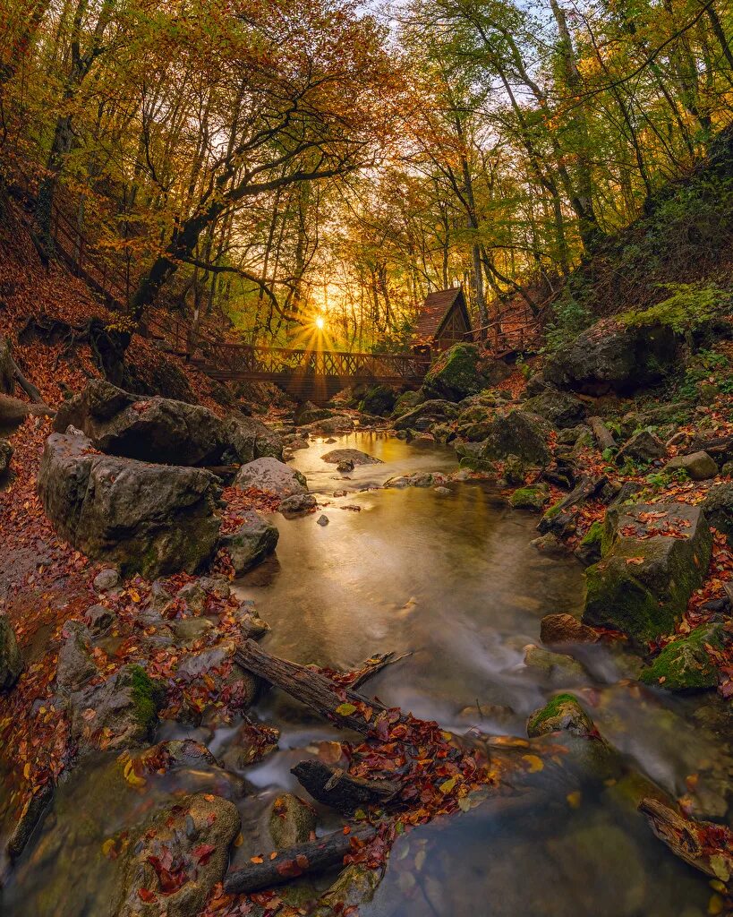 Ручей в лесу. Осенний ручей. Ручей в осеннем лесу. Осенний Лесной ручей.