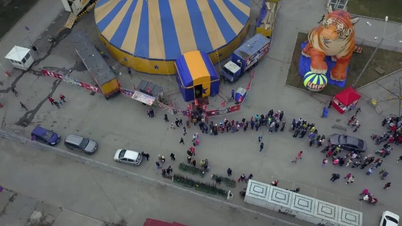 Цирк в томске 2024. Цирк Томск. Цирк Изако Томск. Московский цирк в Томске. Цирк Звездный.