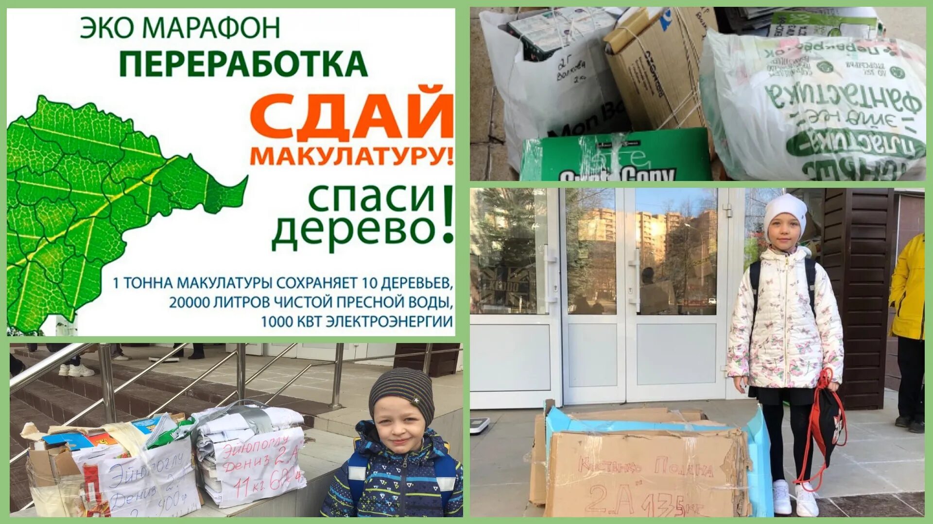Тонна макулатуры спасает деревьев