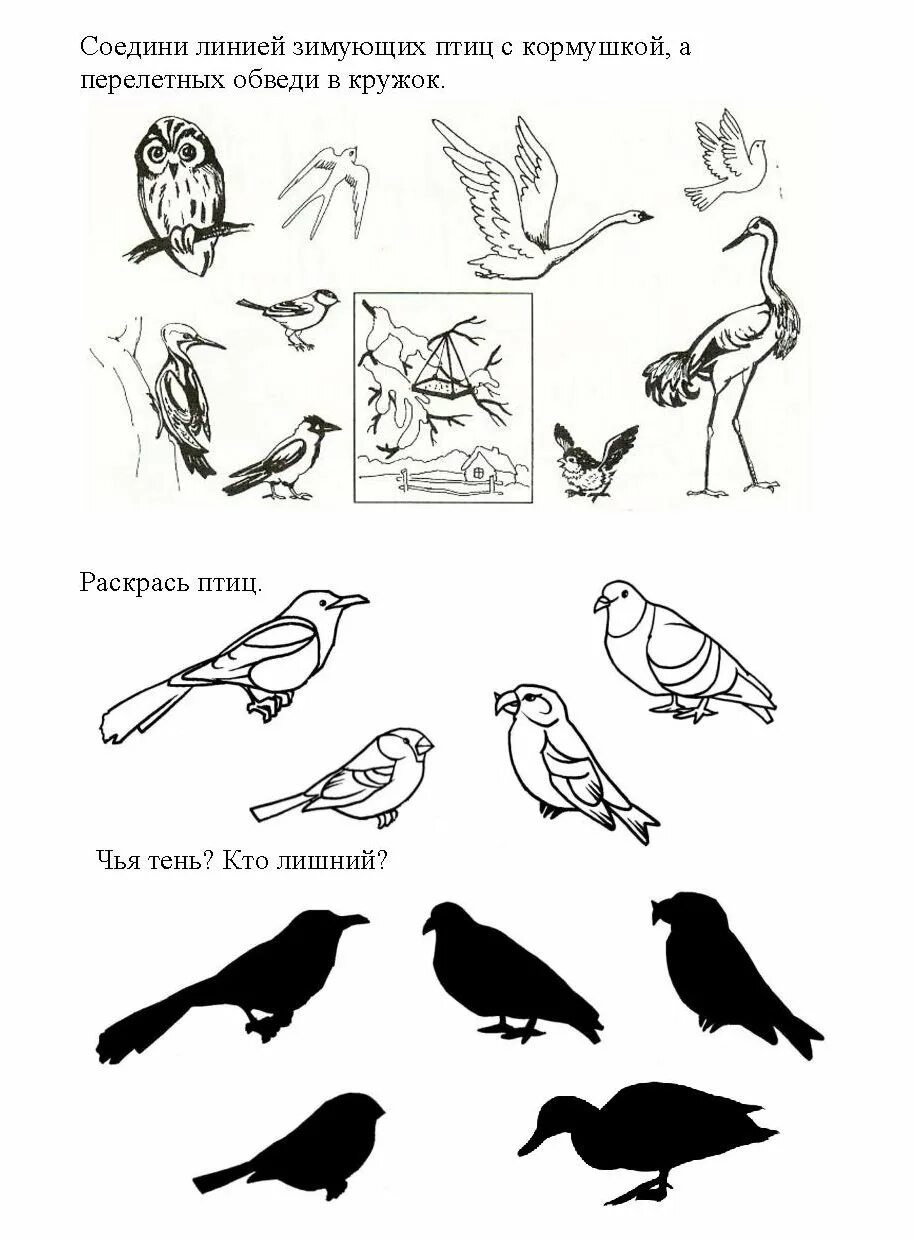 Зимующие птицы задания логопеда. Перелетные птицы задания для дошкольников. Задания для малышей зимующие и перелетные птицы. Лексическая тема перелетные птицы задания.