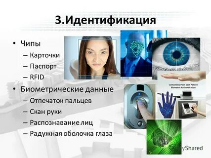 Динамические биометрические данные