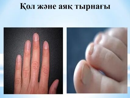 Олар қалың кесуді аяқтайды