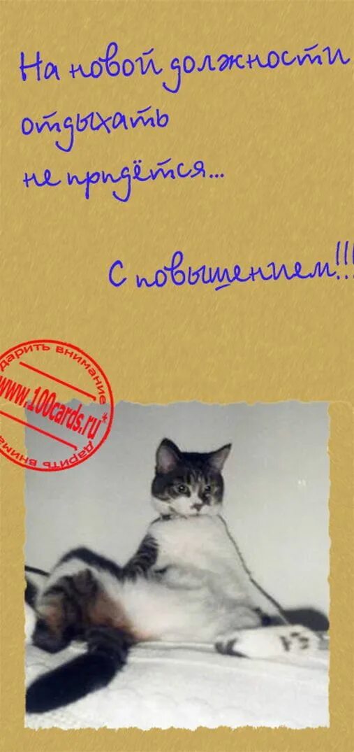 поздравление с повышением. открытки с новой должностью поздравления. поздравление с новой должностью. поздравляю с повышением. поздравление с должностью.