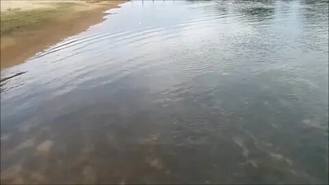 Уровень реки сура алатырь