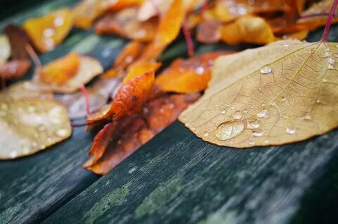 Raindrops fall