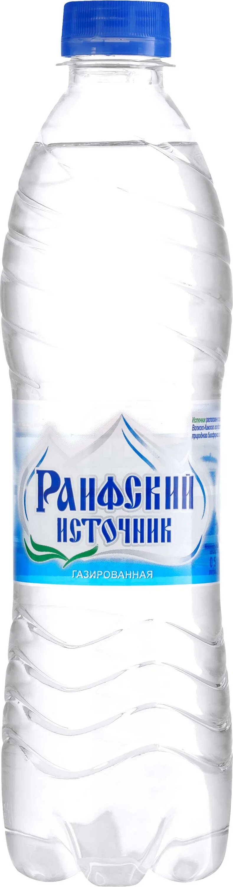 раифский источник бутылка. раифовскмй источник 0,5. вода негазированная раифский источник 0. раифский монастырь с водой. вода «раифский источник» 18.