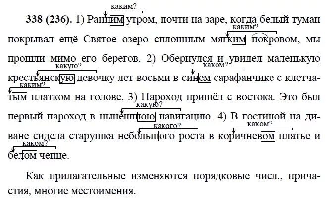 Текст был утренний час в огромном лесу. Русский 9 класс Бархударов учебник упражнения. Гдз по русскому 9 класс Бархударов 338. Гдз по русскому языку 9 класс Бархударов номер. Русский язык 9 класс упражнение 236.