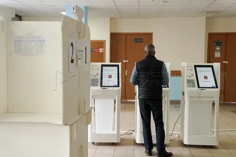 Проголосовать электронно 2023