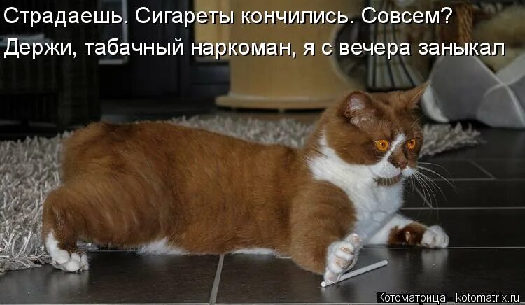 Кончились сигареты. Кончились сигареты