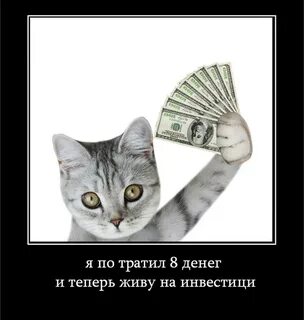 Купил 5 денег