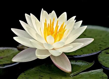 Немересі порно видео онлайн