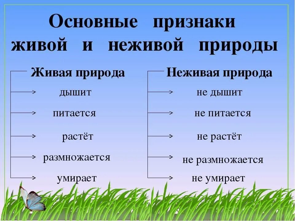 Живая неживая природа россии. Признаки объектов живой природы. Признаки живой природы 2 класс окружающий мир. Таблица Живая и неживая природа. Признаки живой и неживой природы.