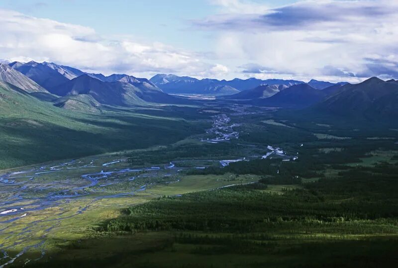 Горы забайкалья становое нагорье. Сыктывкар горы. Чукотское нагорье флора. Чукотское тундровое нагорье. Иранское нагорье.